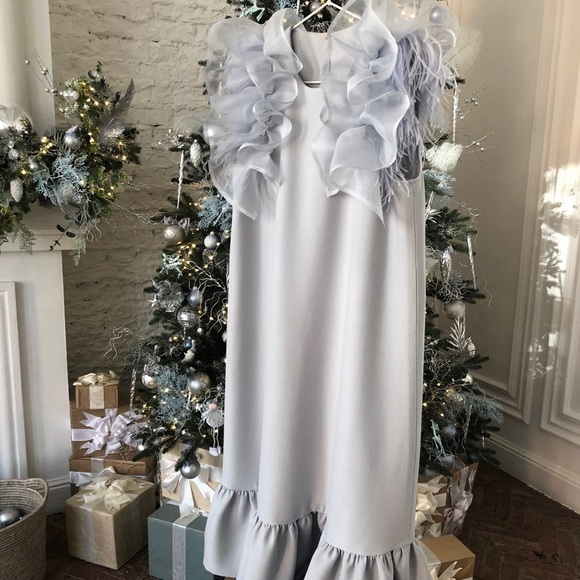 Dresses & Skirts - Feather and organza sleeve dress.